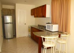 Bocas Seaview Condo kitchen